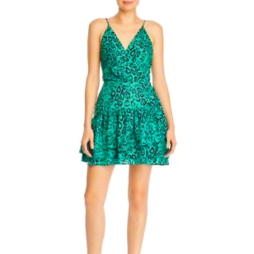 WAYF
Tombly Ruffled Leopard Print Mini Dress S - Picture 3 of 13